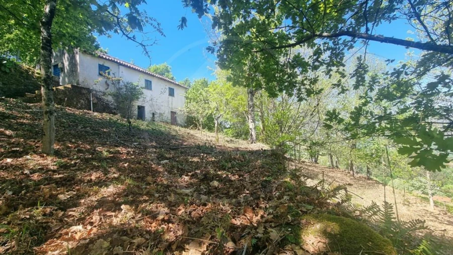 Moradia para Venda em Salvador e Santo Aleixo de Além-Tâmega Foto 2