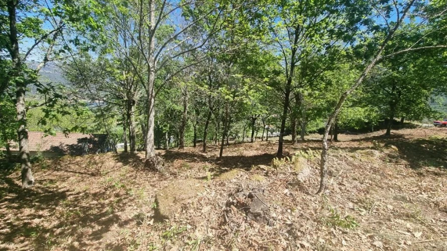 Moradia para Venda em Salvador e Santo Aleixo de Além-Tâmega Foto 7