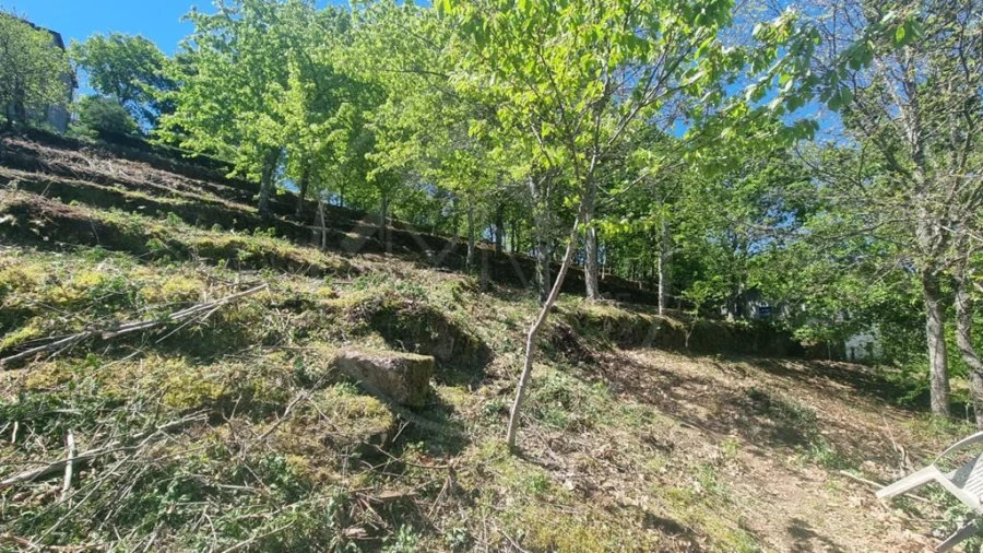 Moradia para Venda em Salvador e Santo Aleixo de Além-Tâmega Foto 8