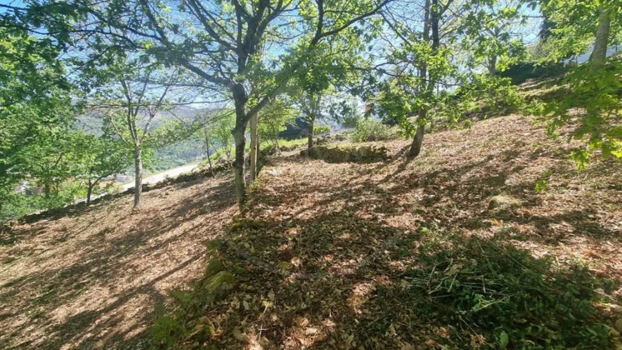 Moradia para Venda em Salvador e Santo Aleixo de Além-Tâmega Foto 9