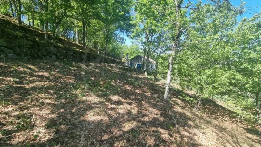 Moradia para Venda em Salvador e Santo Aleixo de Além-Tâmega Foto 10