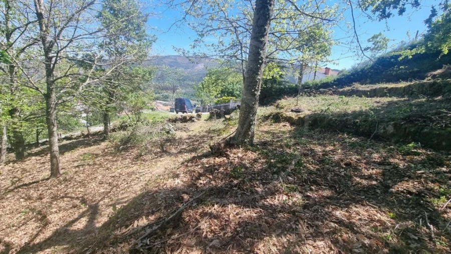 Moradia para Venda em Salvador e Santo Aleixo de Além-Tâmega Foto 12