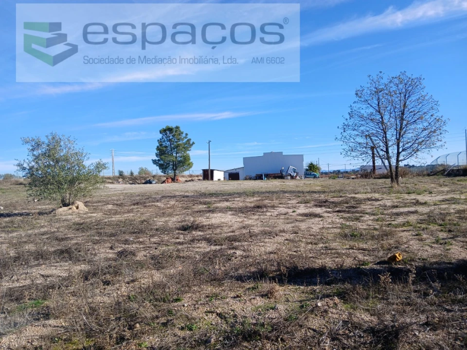 Moradia T3 para Venda em Lardosa Foto 8