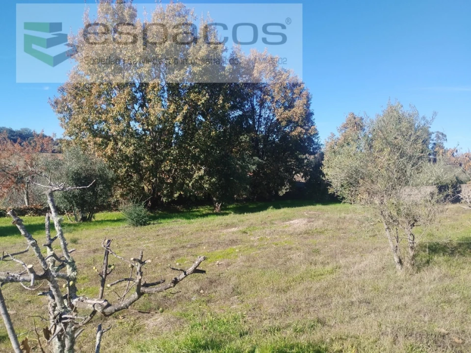 Quinta T4 para Venda em Aldeia do Bispo, Águas e Aldeia de João Pires Foto 41