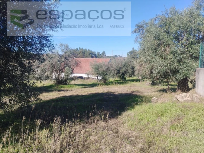 Quinta T4 para Venda em Aldeia do Bispo, Águas e Aldeia de João Pires Foto 38