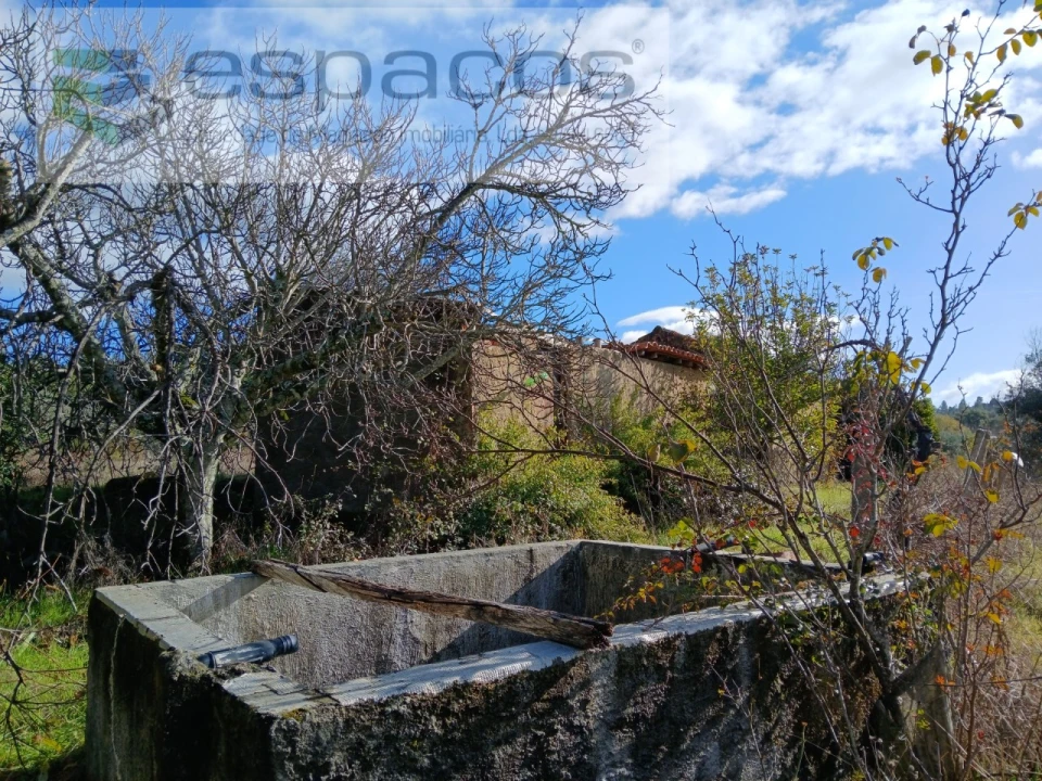 Quinta T1 para Venda em Freixial e Juncal do Campo Foto 3