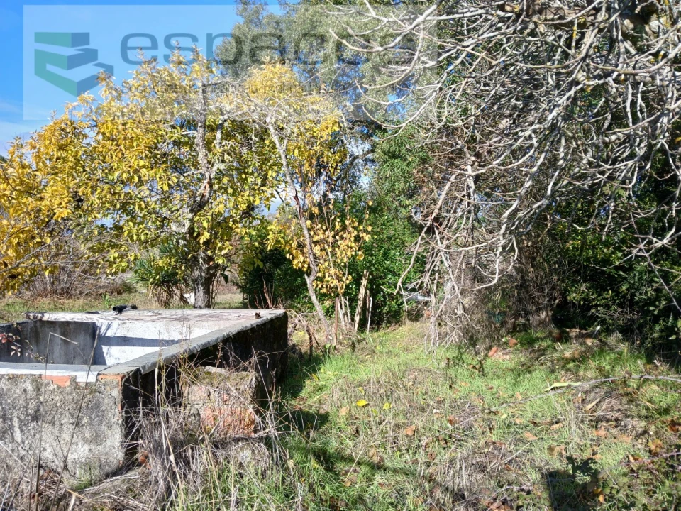 Quinta T1 para Venda em Freixial e Juncal do Campo Foto 6