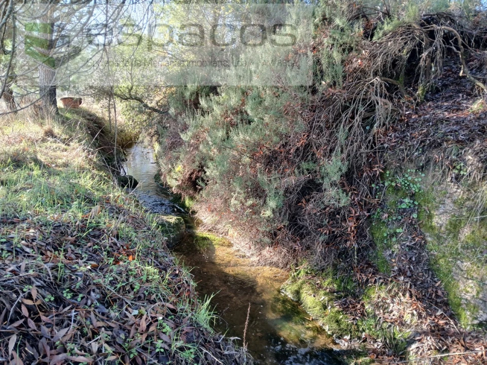 Quinta T1 para Venda em Freixial e Juncal do Campo Foto 7