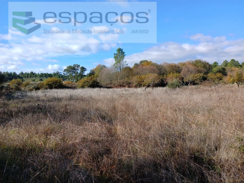 Quinta T1 para Venda em Freixial e Juncal do Campo Foto 24
