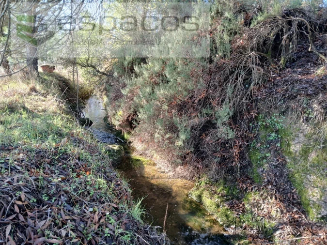 Quinta T1 para Venda em Freixial e Juncal do Campo Foto 7