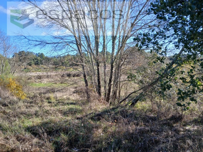 Quinta T1 para Venda em Freixial e Juncal do Campo Foto 9