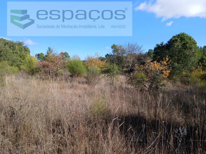 Quinta T1 para Venda em Freixial e Juncal do Campo Foto 10