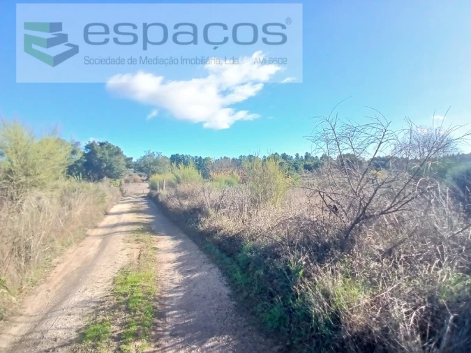 Quinta T1 para Venda em Freixial e Juncal do Campo Foto 11