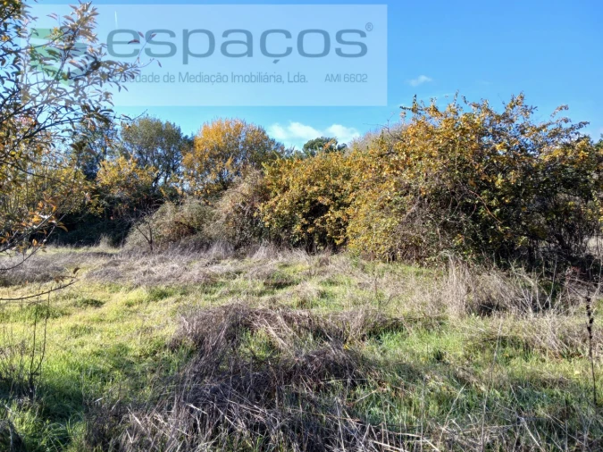 Quinta T1 para Venda em Freixial e Juncal do Campo Foto 16