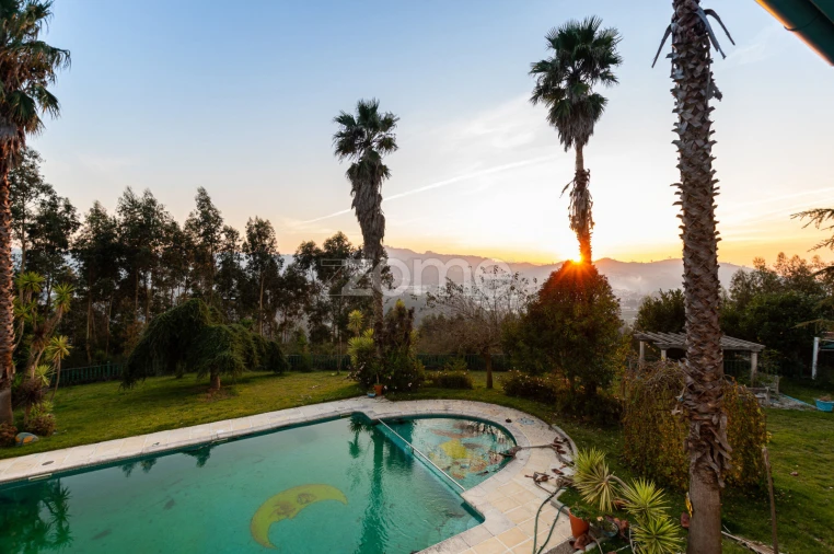 Quinta T7 para Venda em Santo Adrião de Vizela Foto 18