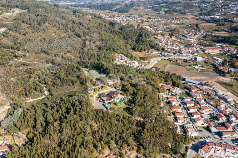 Quinta T7 para Venda em Santo Adrião de Vizela Foto 11