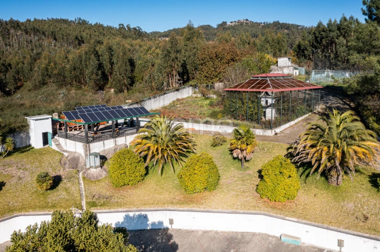 Quinta T7 para Venda em Santo Adrião de Vizela Foto 7