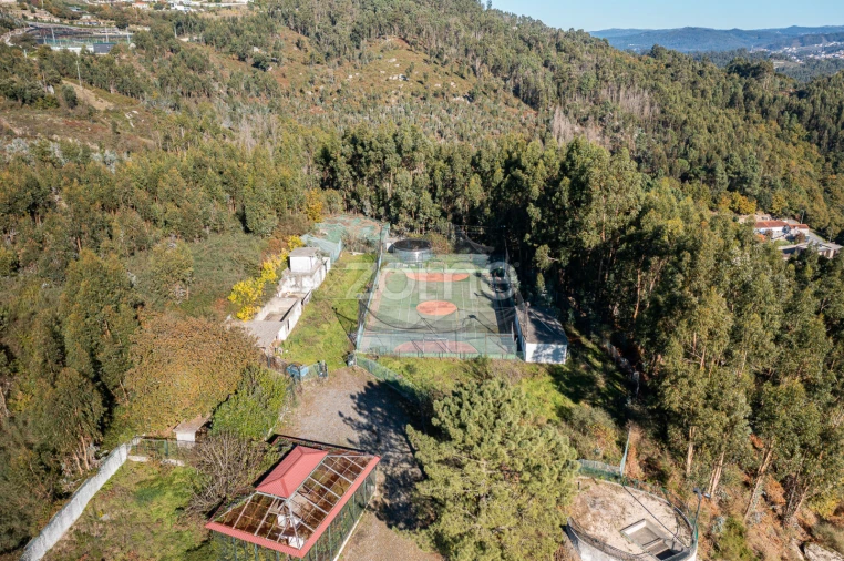 Quinta T7 para Venda em Santo Adrião de Vizela Foto 6