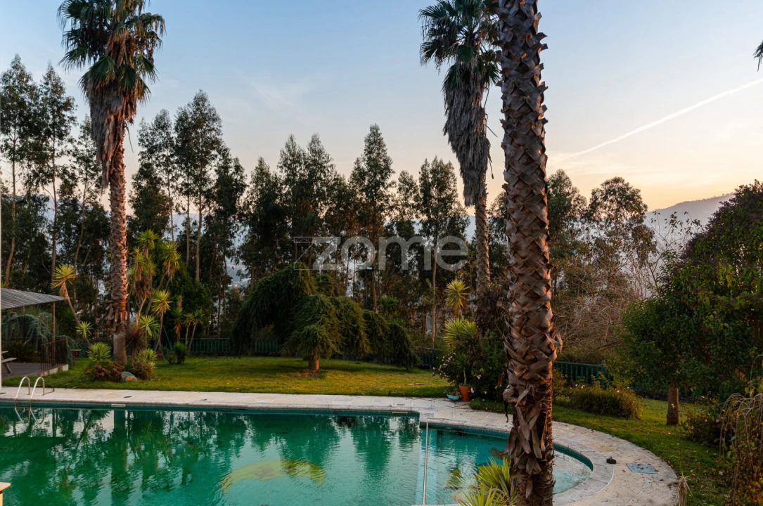 Quinta T7 para Venda em Santo Adrião de Vizela Foto 19