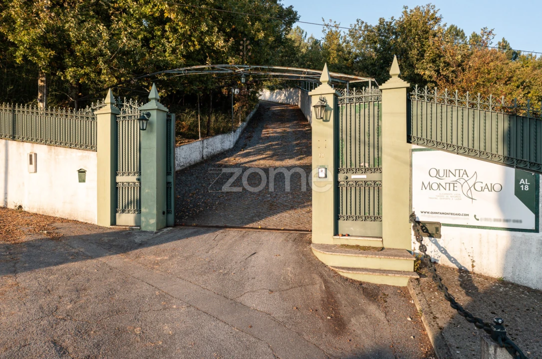 Quinta T7 para Venda em Santo Adrião de Vizela Foto 1
