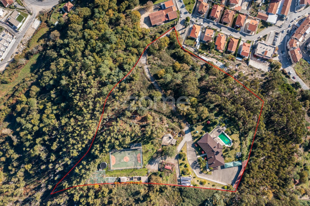 Quinta T7 para Venda em Santo Adrião de Vizela Foto 8