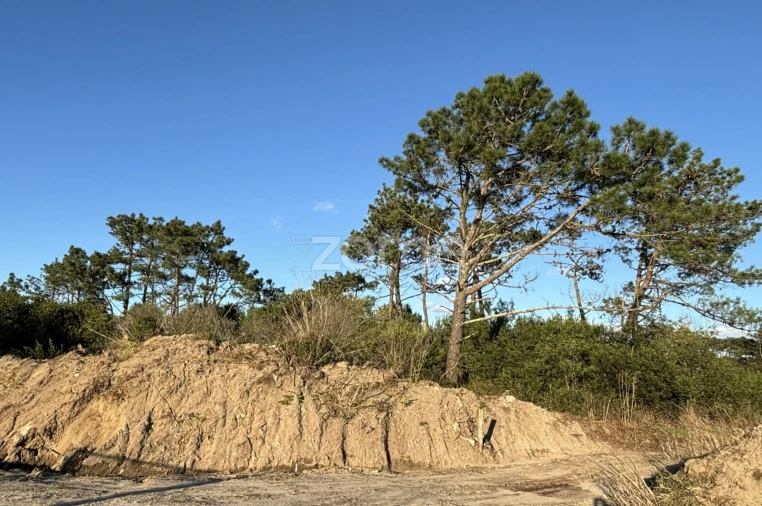 Terreno para Venda em Belinho e Mar Foto 1