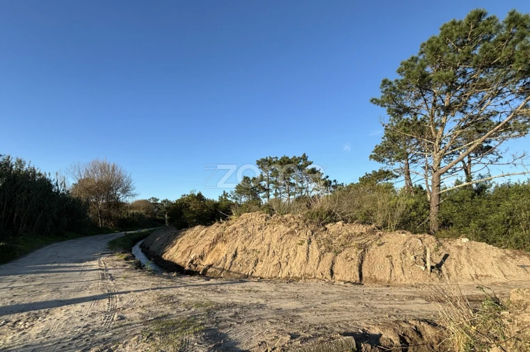 Terreno para Venda em Belinho e Mar Foto 3