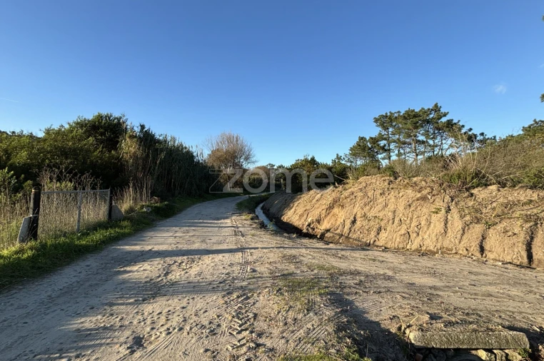 Terreno para Venda em Belinho e Mar Foto 6