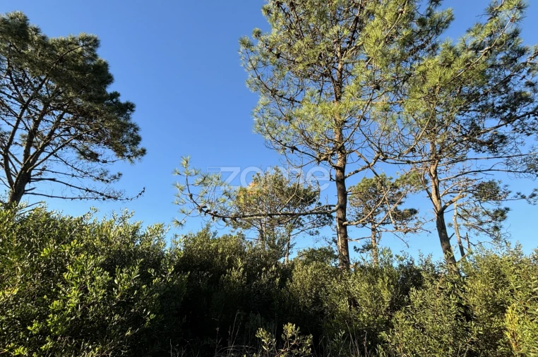 Terreno para Venda em Belinho e Mar Foto 5