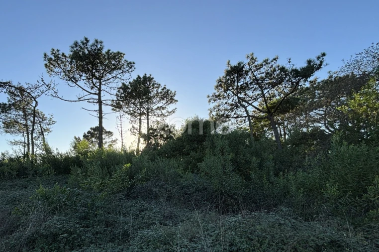 Terreno para Venda em Belinho e Mar Foto 9