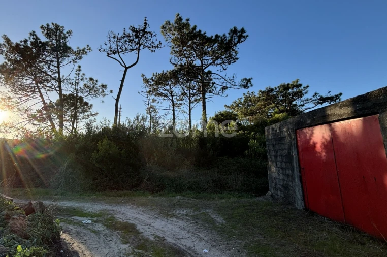 Terreno para Venda em Belinho e Mar Foto 10