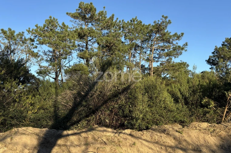 Terreno para Venda em Belinho e Mar Foto 8