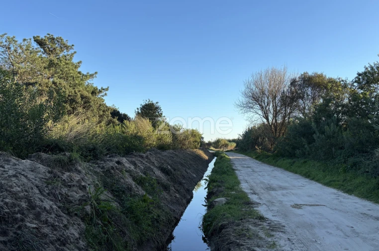 Terreno para Venda em Belinho e Mar Foto 12