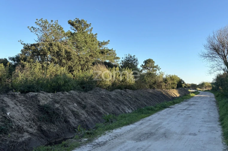 Terreno para Venda em Belinho e Mar Foto 13