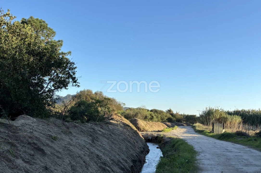Terreno para Venda em Belinho e Mar Foto 4