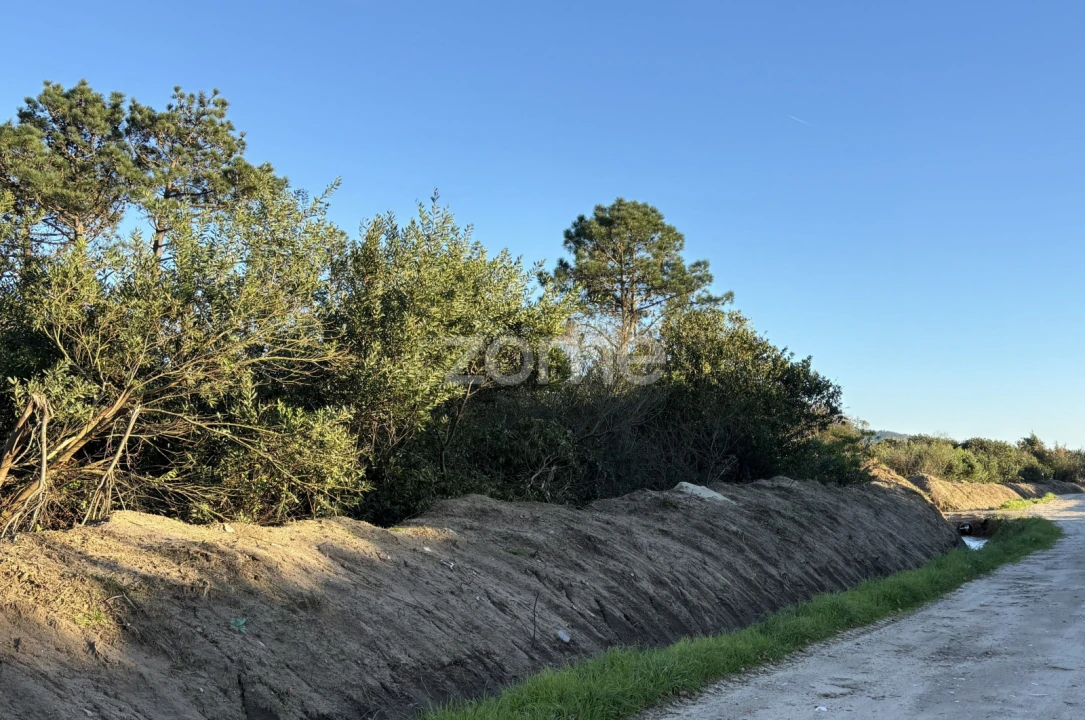 Terreno para Venda em Belinho e Mar Foto 11
