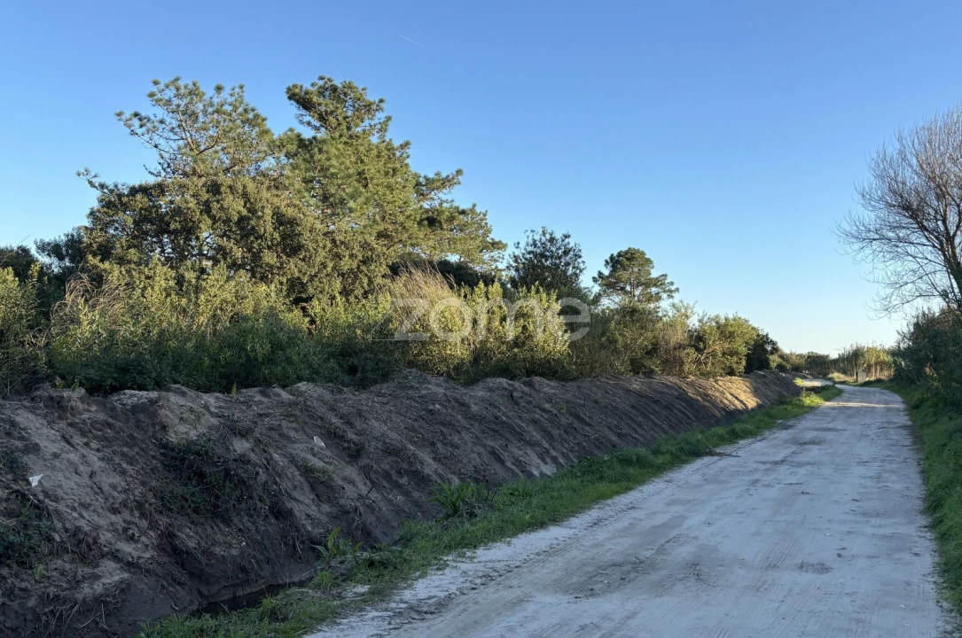 Terreno para Venda em Belinho e Mar Foto 13