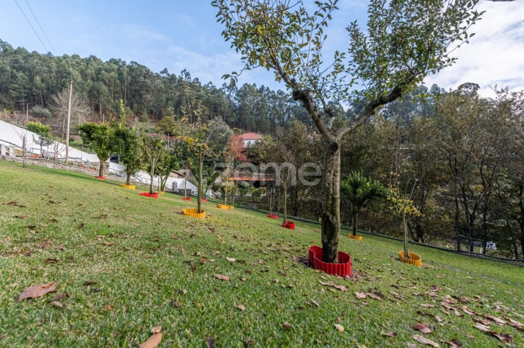 Moradia T3 para Venda em Braga (Maximinos, Sé e Cividade) Foto 61