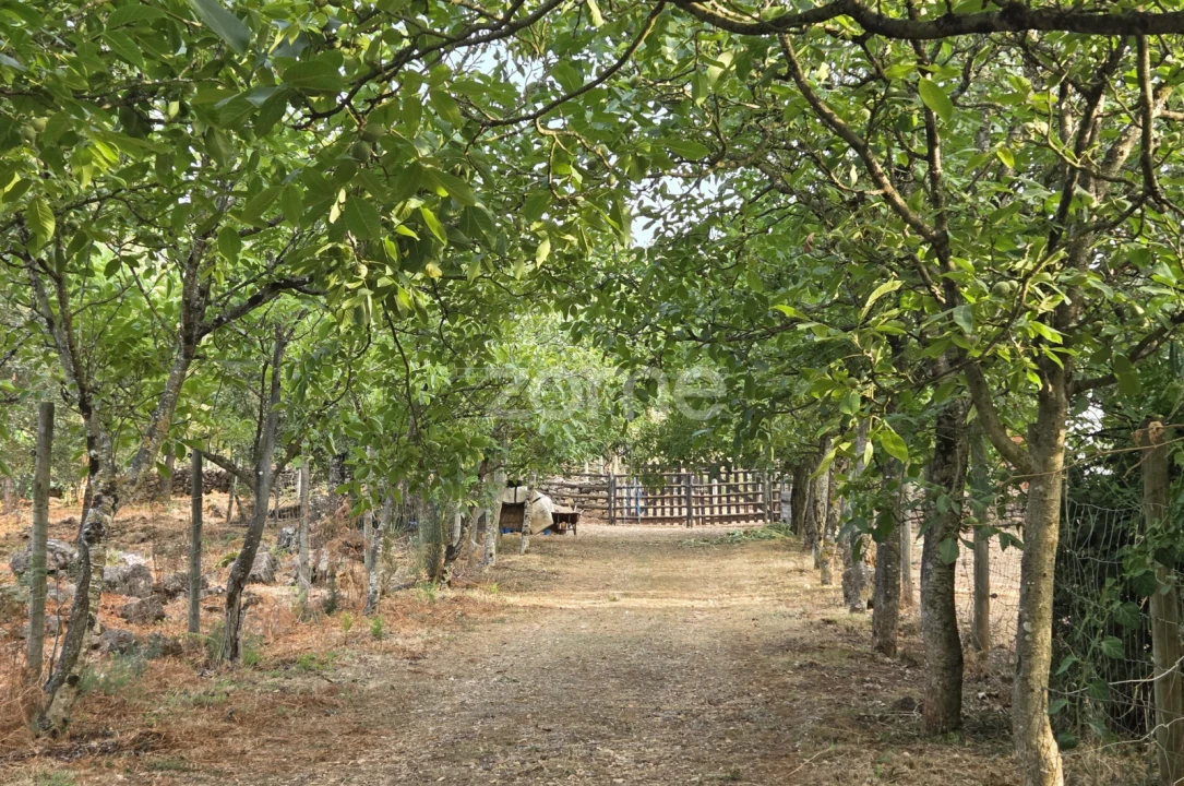 Terreno para Venda em Assafarge e Antanhol Foto 1