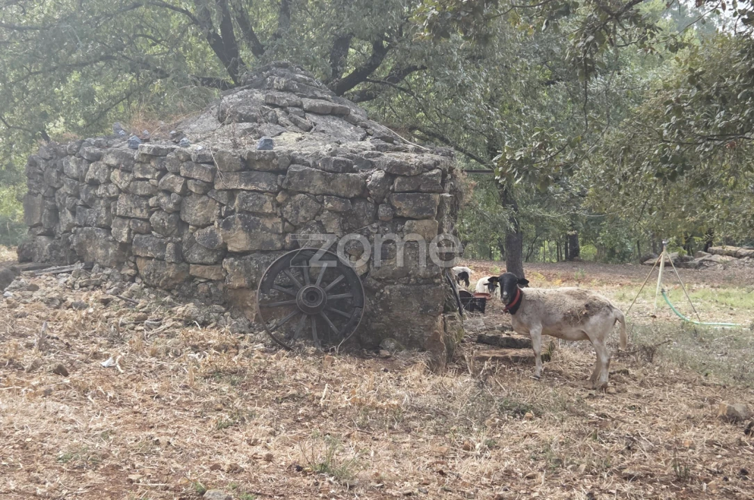 Terreno para Venda em Assafarge e Antanhol Foto 4