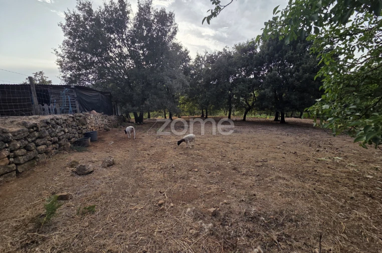 Terreno para Venda em Assafarge e Antanhol Foto 2