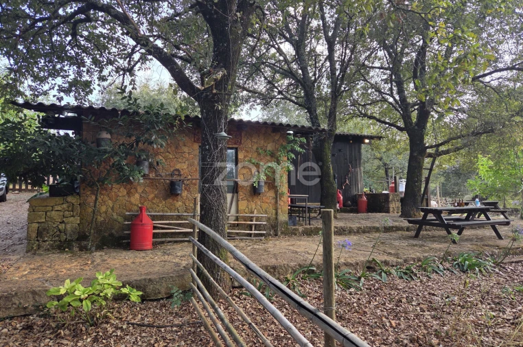 Terreno para Venda em Assafarge e Antanhol Foto 3