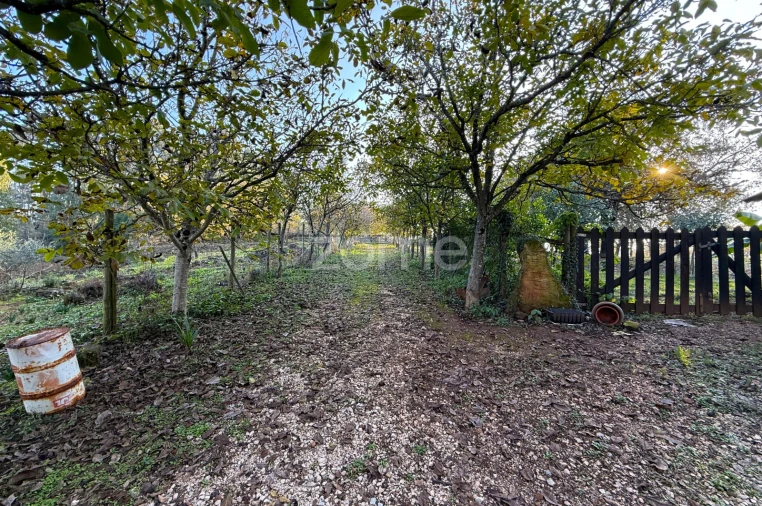 Terreno para Venda em Assafarge e Antanhol Foto 10
