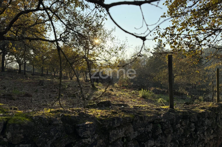 Terreno para Venda em Assafarge e Antanhol Foto 14