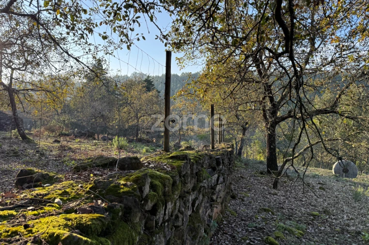 Terreno para Venda em Assafarge e Antanhol Foto 15