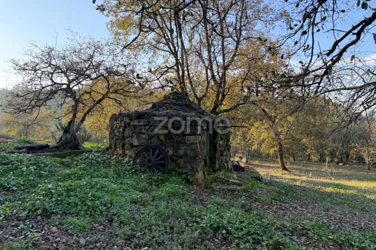 Terreno para Venda em Assafarge e Antanhol Foto 17