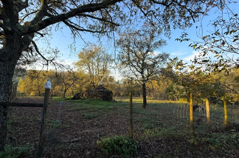Terreno para Venda em Assafarge e Antanhol Foto 18