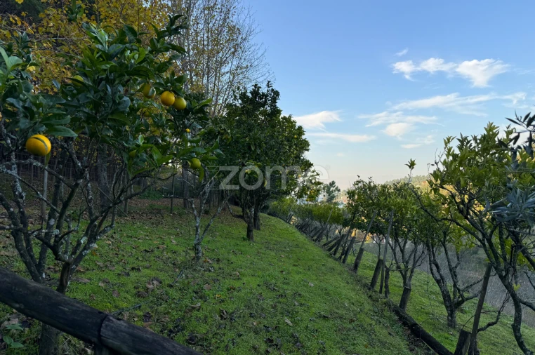 Terreno para Venda em Assafarge e Antanhol Foto 19