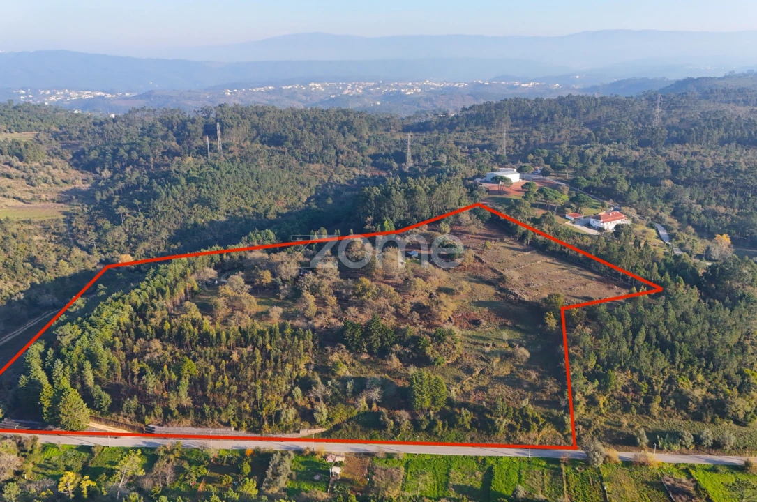 Terreno para Venda em Assafarge e Antanhol Foto 6