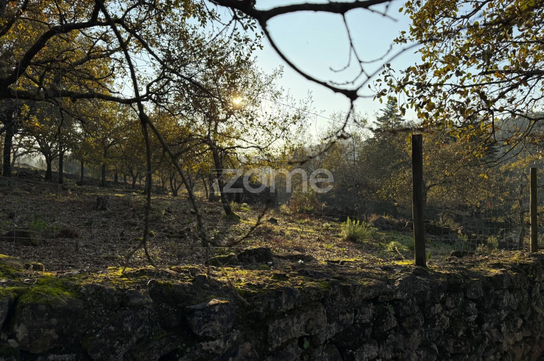 Terreno para Venda em Assafarge e Antanhol Foto 14